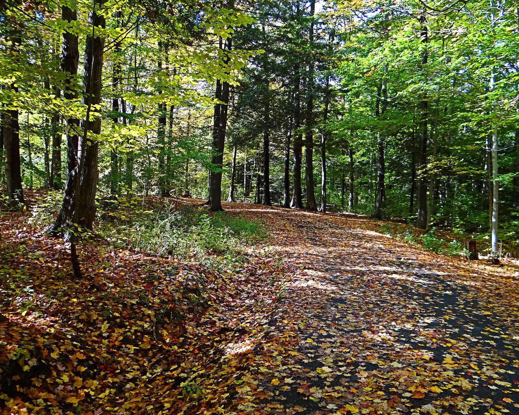 Town Of New Hartford New York Home Page